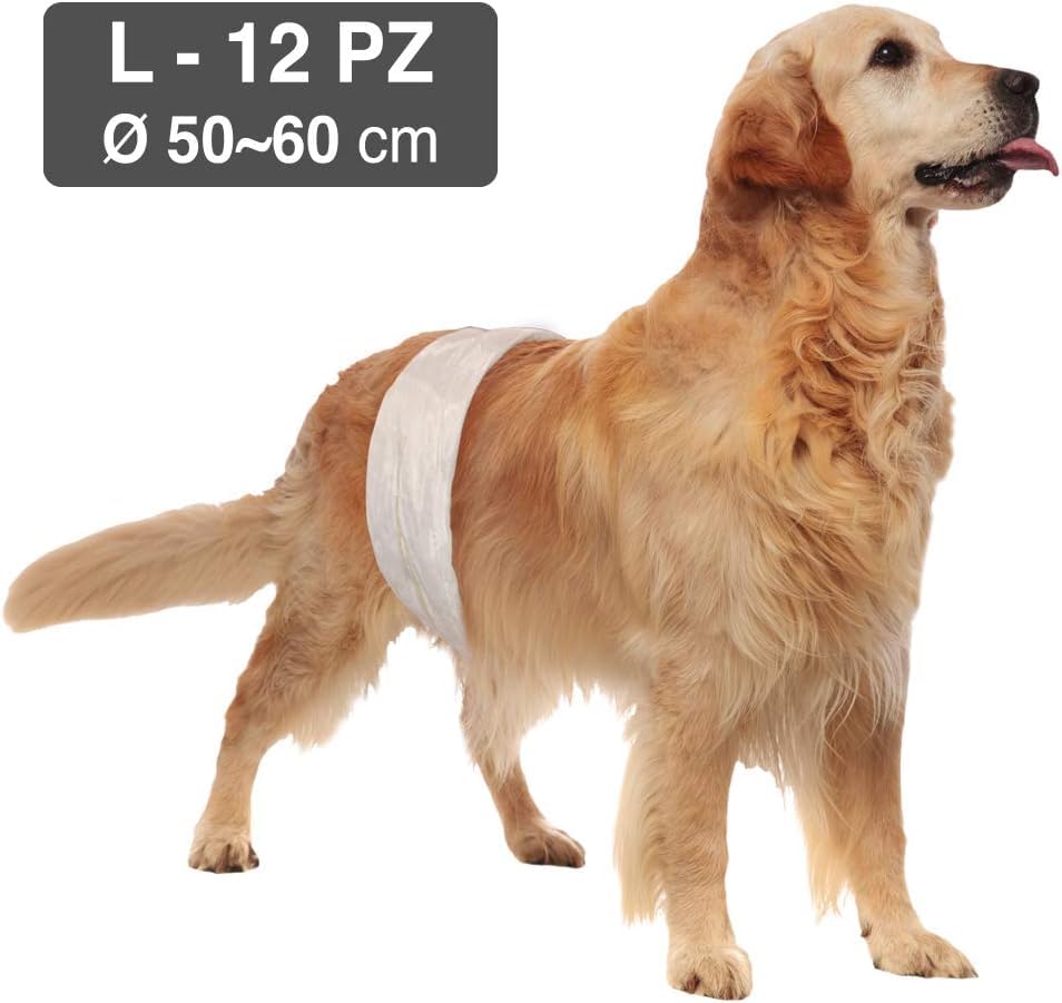 Croci Hundewindel - Hundewindeln für Rüden - Hundeunterhose zum Pinkeln - Hygiene Wickelwindel für Rüden, geruchshemmend, Einweg, 12 Stück, Größe L, 50-60 cm