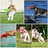 3 Stück Frisbee Hund Gummi 15cm Dog Disc Hundefrisbee Hunde Frisbee Scheibe für Werfen & Fangen, Target Bodentarget Hund Hundespielzeug Frisbees zum Apportieren für Hundetraining und Spielspaß