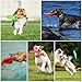 3 Stück Frisbee Hund Gummi 15cm Dog Disc Hundefrisbee Hunde Frisbee Scheibe für Werfen & Fangen, Target Bodentarget Hund Hundespielzeug Frisbees zum Apportieren für Hundetraining und Spielspaß