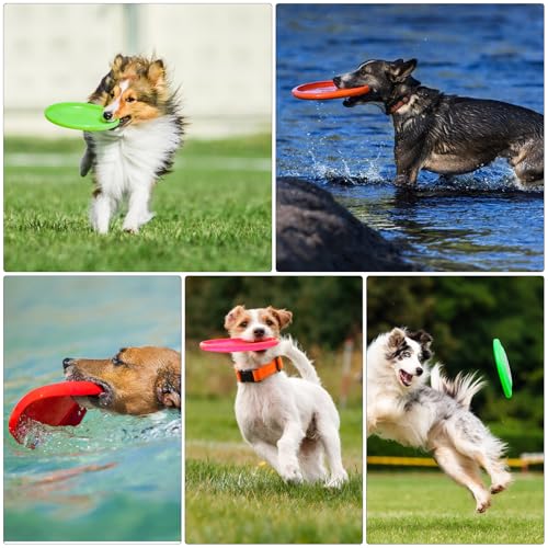 3 Stück Frisbee Hund Gummi 15cm Dog Disc Hundefrisbee Hunde Frisbee Scheibe für Werfen & Fangen, Target Bodentarget Hund Hundespielzeug Frisbees zum Apportieren für Hundetraining und Spielspaß