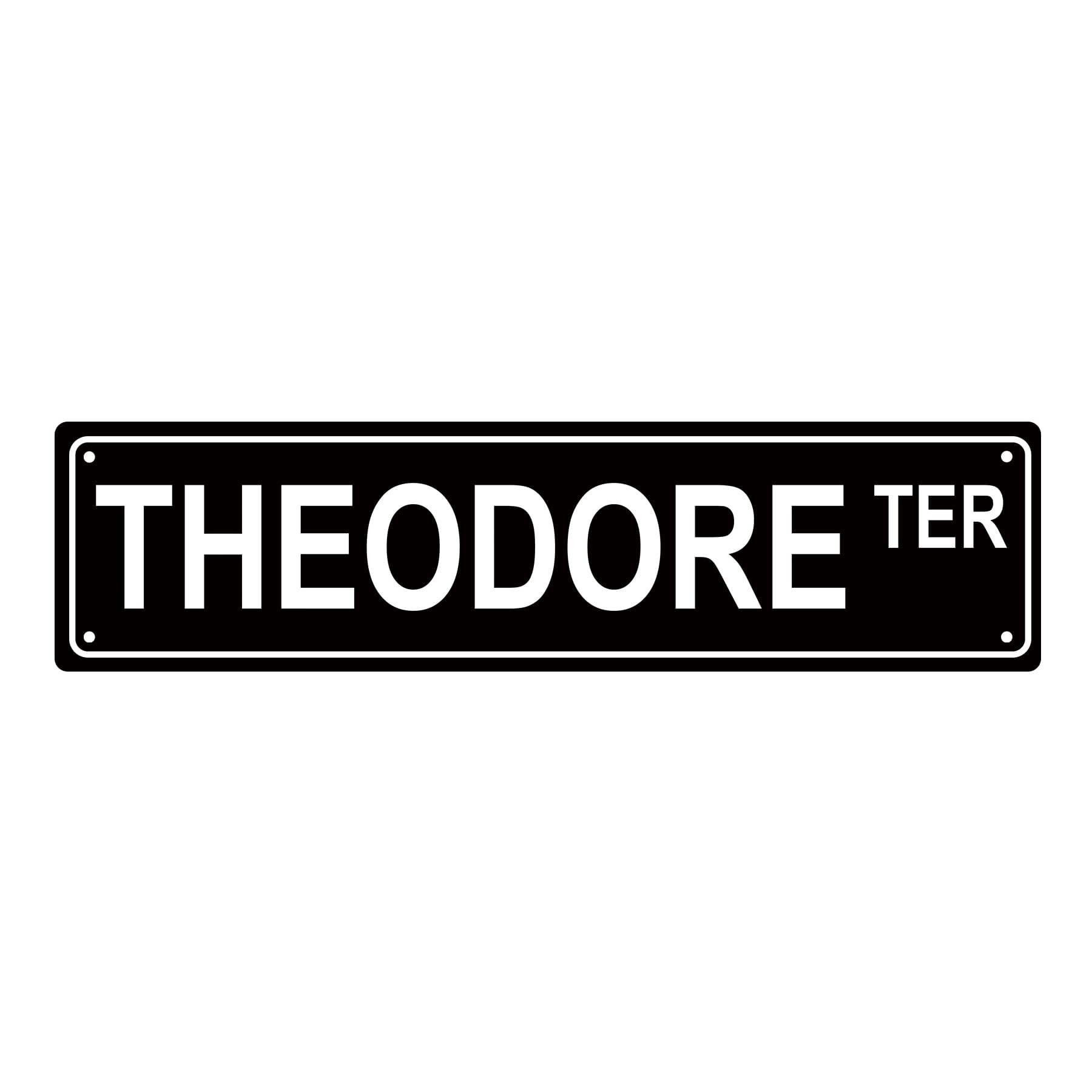 Theodore TER Boys Men Metal Tin Street Sign Bar Cafe Garage Cave Home Room Wall Bathroom Farmhouse Garden Porch Patio Decor,4x16 Inch