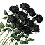 Black | Blooming Roses