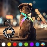 HENMI Hundegeschirr Leuchtend mit Hundeleine, Air-Mesh Leuchtgeschirr für Mittlere Hund, LED Aufladbar Reflektierend Geschirr Set für nächtliche Spaziergänge