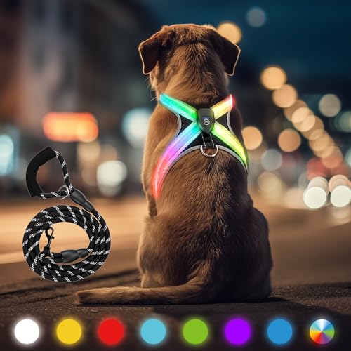 HENMI Hundegeschirr Leuchtend mit Hundeleine, Air-Mesh Leuchtgeschirr für Mittlere Hund, LED Aufladbar Reflektierend Geschirr Set für nächtliche Spaziergänge