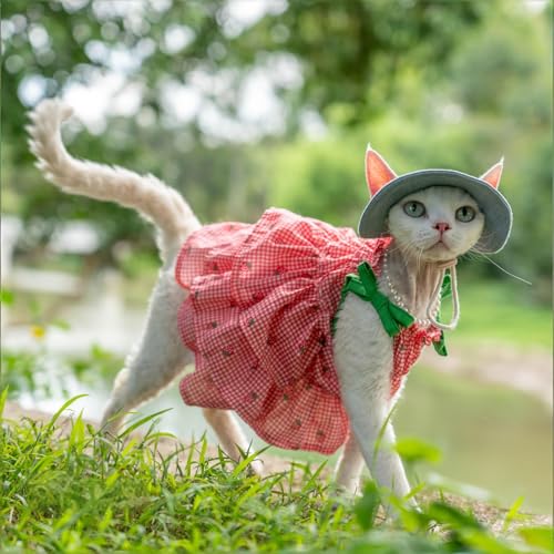 Robe pour chat Sphynx Devon Rex vêtement coton respirant M+ - 4