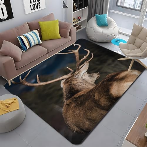 J[ybg 2 GAO  O J[ybg rO[ 􂦂郉O 쐶 h_j hL R Չ ϖ O~ ` 185x185 cm AEghAn~ ~ tA}bg - PM2670