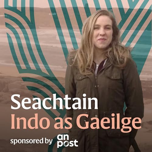 D&uacute;nmhar&uacute; Natalie McNally: Fiosr&uacute;ch&aacute;n na gcor is na gcasta&iacute;
