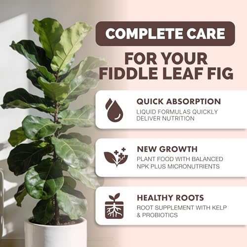 Fertilizante Líquido para Planta Fiddle Leaf Fig 2x250 mL miniatura 2