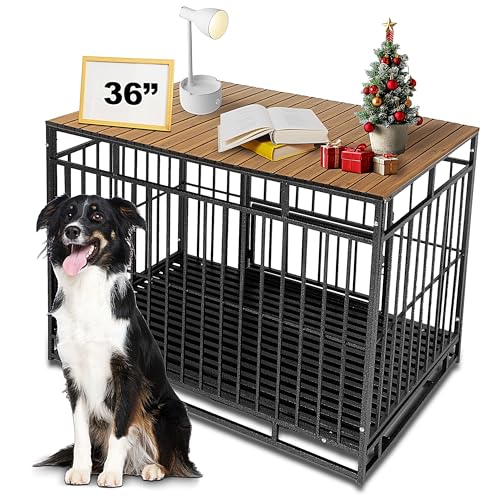 Petmystify pN[ggbp[ }Olbgt 36C`̃N[gp - A~jE ܂肽ݎ p gbp[ [ ybgN[g e[u EH[ibg (gbp[̂)