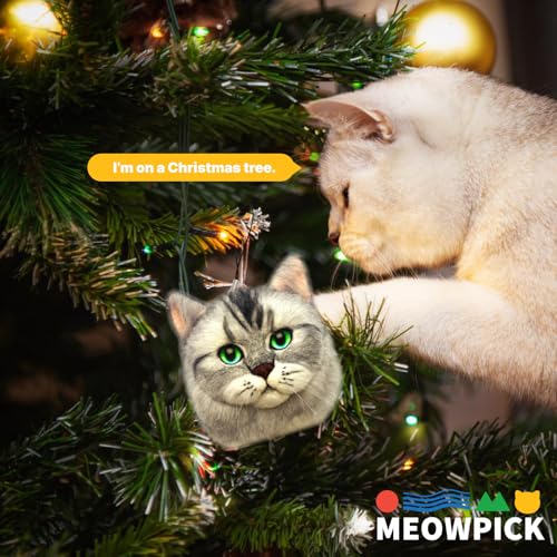 Image of MeowPick Needle Felting Kit with Cat Head Mold, Animals Needle Felting Set, DIY Wool Felt Materials Set with Felting Tool and Instruction for Quick Needle Felting Craft (Ginger cat)