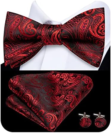 Dubulle Mens Silk Paisley Stripe Multi Color Self-Tied Bowtie and Pocket Square Cufflinks Bow Tie Wedding Business
