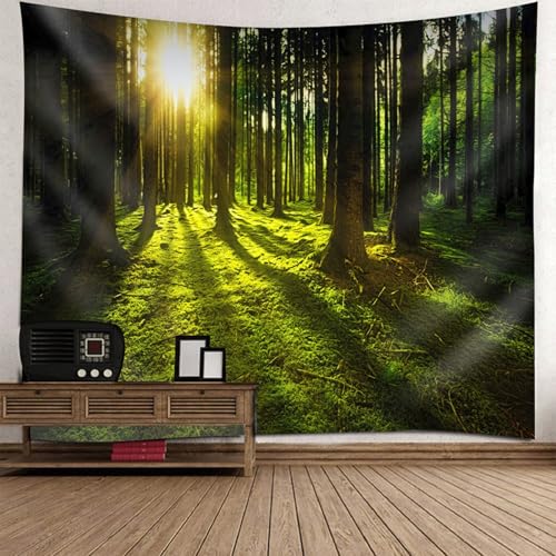 Tapisserie decoration murale nature pour habiller un grand mur vide