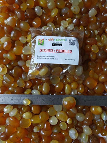 GIFTnPLANTSGIFTnPLANTS Onyx Stones/Pebbles, Wt-450 GMS(Yellow) Reiki Crystals, Healing Stones, Tumbled Onyx Stones for Your Plants and Flower Vases