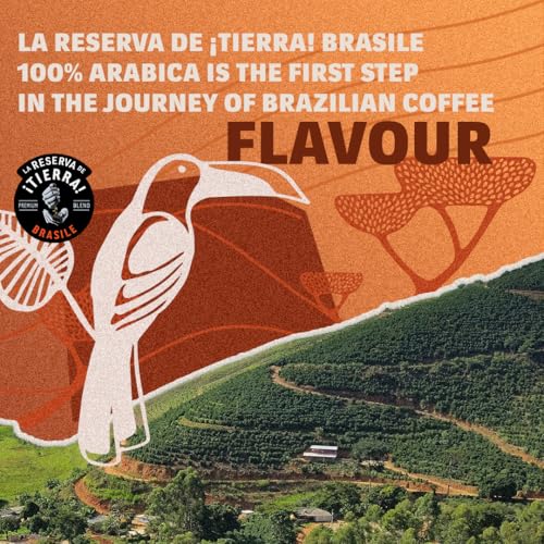 Image of Lavazza Tierra Brasile | Whole Roasted Bean Espresso | Traditional Drum Roasting | 1Kg Pack (Pack of 3)