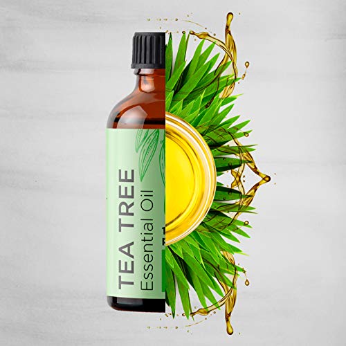 Best Tea Tree Oil Brand for Acne What's our ultimate pick?