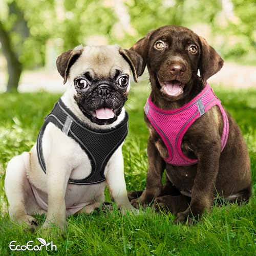 Hundegeschirr + Leine - Mittelgroß, Schwarz - Weich gepolstert, No Pull Design Haustiergeschirr + Reflektierende Streifen für Kleine + Mittelgroße Hunde - von EcoEarth