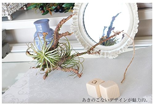 Amazon｜造花 エアプランツ/吊る下げ グリーン/フェイクグリーン