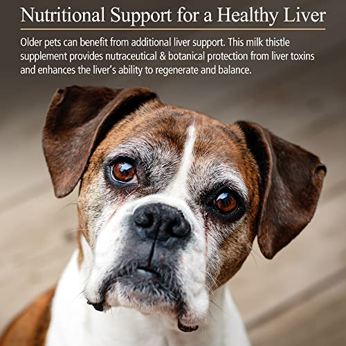 image for Rx Vitamins Hepato Support for Dogs & Cats - Milk Thistle Supplement f