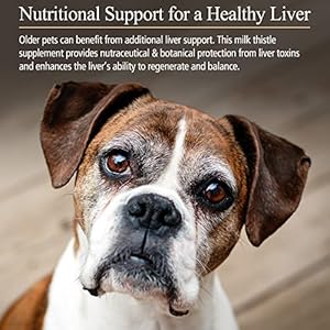 Rx Vitamins Hepato Support for Dogs & Cats - Milk Thistle Supplement for Pets - 100mg Milk Thistle for Healthy Liver Function - Silymarin Capsules for Pets - 180 ct. Rx Vitamins Hepato Support for Dogs Cats Milk Thistle Supplement for Pets 100mg Milk Thistle for Healthy Liver Function Silymarin Capsules for Pets 180 ct