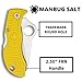 Spyderco Manbug Salt Folding Pocket Knife with 1.9