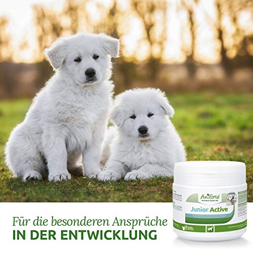 AniForte-Junior-Active-for-Puppies-and-Young-Dogs-250-g-For-Bones-Tendons-Ligaments-Teeth-Development-of-Puppies-Young-Dogs-Puppy-Supplement-with-Calcium-Vitamins-and-Minerals