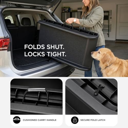 Portable Dog Ramp 62