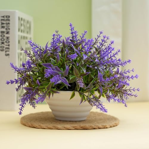 ZYTHSKLO Juego de plantas de simulación de escritorio de plástico artificial en maceta para decoración del hogar