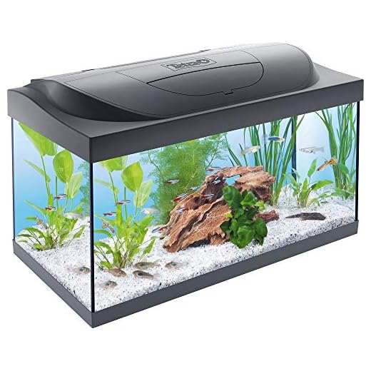 TETRA Starter Line - Aquarium LED Complet pour Débutants - 54L