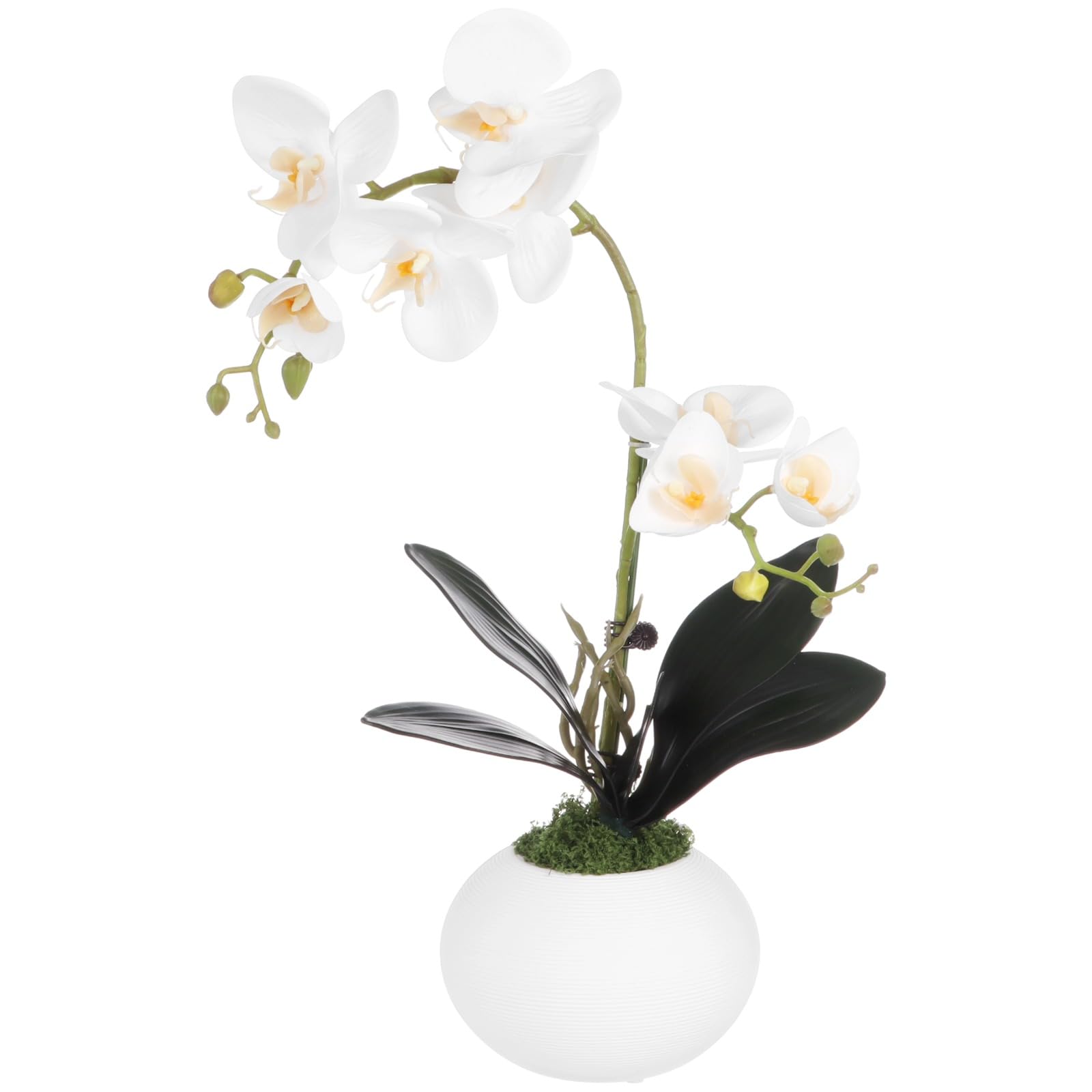 OMISTAR Künstliche Orchideen mit Vase, weiß, fühlt sich echt an, Orchidee, Blumen-Mittelstück, dekorative Phaleanopsis-Orchidee, Bonsai für Zuhause, Büro, Tischdekoration