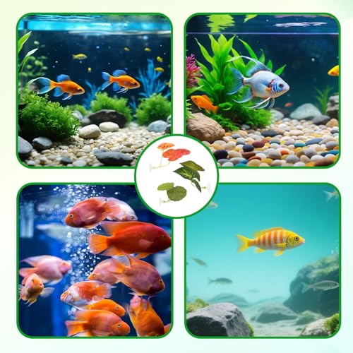 3 Stück Betta Fisch Hängematte,Künstliche Aquarienpflanzen mit Saugnapf,Weiches Betta Breeding Resting Bed,Simulation des natürlichen Lebensraums für Bettas Laichplätze,Aquarium Dekoration Pflanz