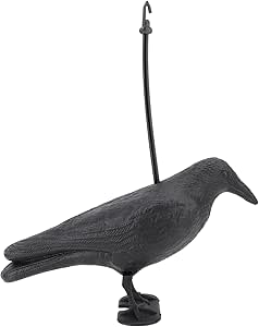 Amazon.com : Crow Decoy Archery Target, Realistic Pe Material Practice ...