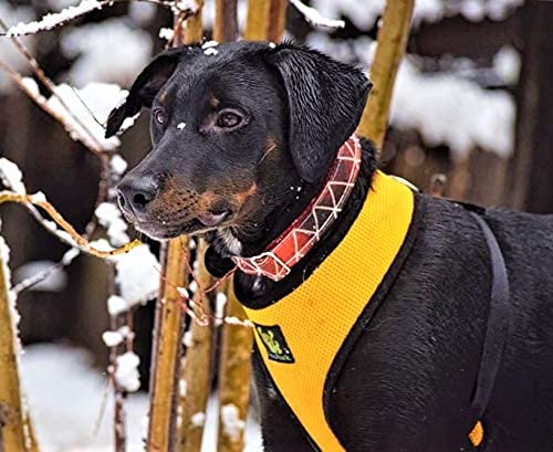 Image of Classic Dog Harness Innovative Mesh No Pull No Choke Design Soft Double Padded Breathable Vest for Eco-Friendly Easy Control Walking for Large Puppies Full Size Breeds & Extra Large Dogs (XL, Yellow)