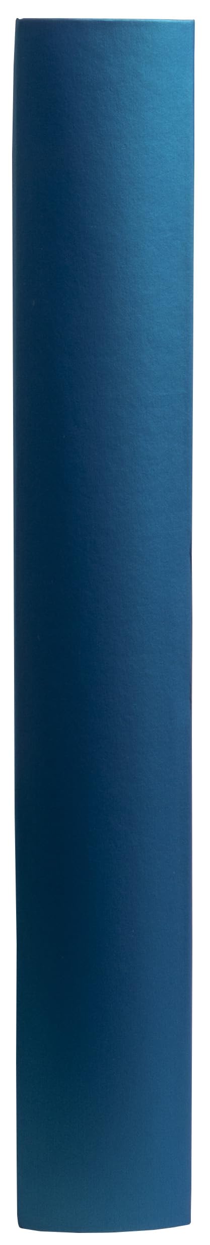EXACOMPTA - Rif. 16096E - Album fotografico a libro Neo Déco, 300 foto, 60 pagine nere, formato 29X32cm, copertina in cartone rivestita in carta testurizzata blu con effetto lucido