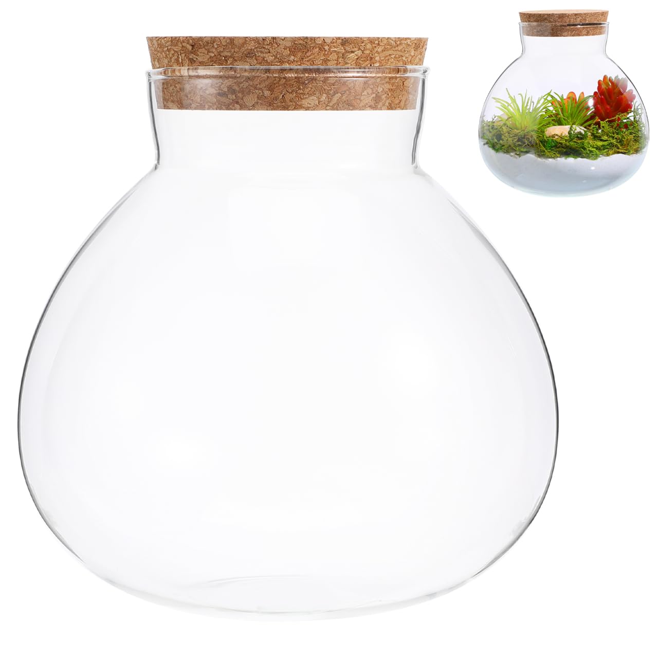 Angoily 15cm DIY Ecological Bottle Terrarium - Clear Round Glass Micro Landscape Container with Breathable Natural Cork Lid - Empty Planter Jar for Moss Succulents Indoor Gardening and Desk Decor