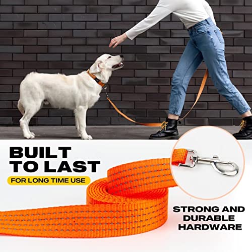 Fida Reflective Dog Leash, 6Ft Nylon Dog Leashes For Small/Medium/Large Dogs, High Visibility Dog Leash With Metal Clasp For Daily Walking (Upgraded Reflective Stitching，Neon Orange) #TOP2