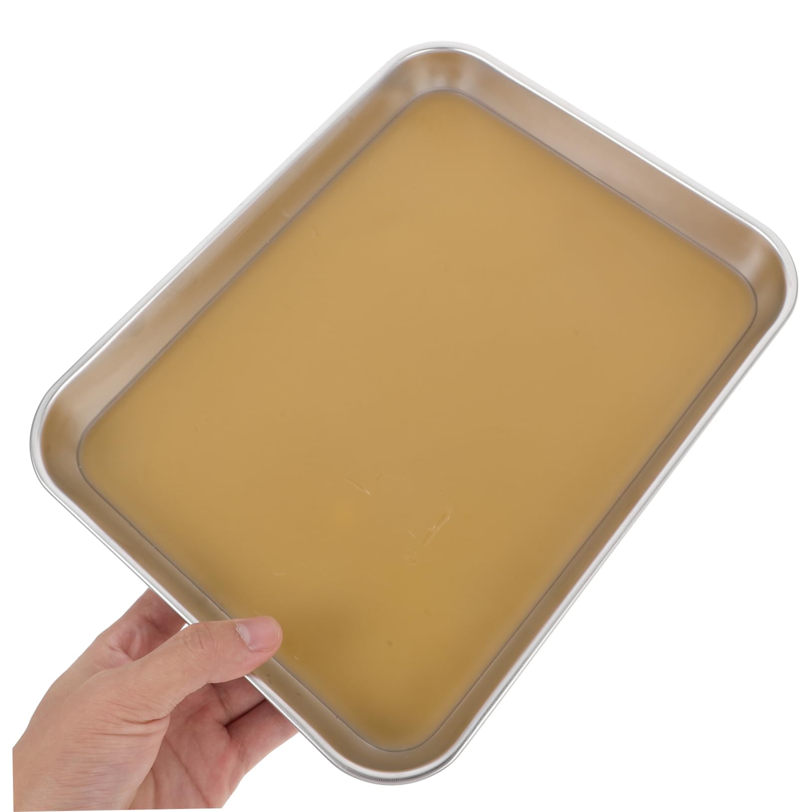 MAGICLULU Vassoio Metallico per Dissezione in Acciaio Inox Rivestimento in Cera, Adatto a Dissezioni e Uso Didattico in Laboratori di Biologia