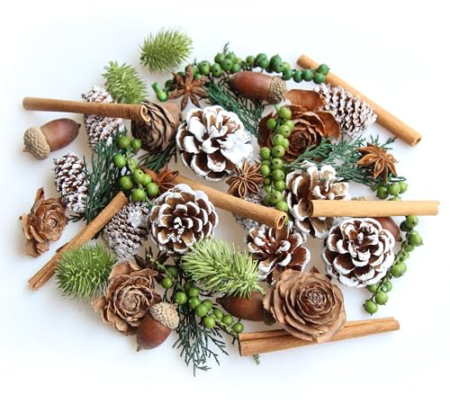 DIY Natural Dried Flower Kit - Bulk Dried Plants Pine Cones Scented Lemon Slices Cinnamon Sticks Wood Roses & Mini Pinecones for Home Dcor Christmas Decoration (Green)