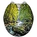 Round Toilet Seat Stream Flowing Forest Tennessee Resin Toilet Seat Quietly Slow Close with Quick-Release Hinges Toilet Seat with Cover Easy to Clean Install
