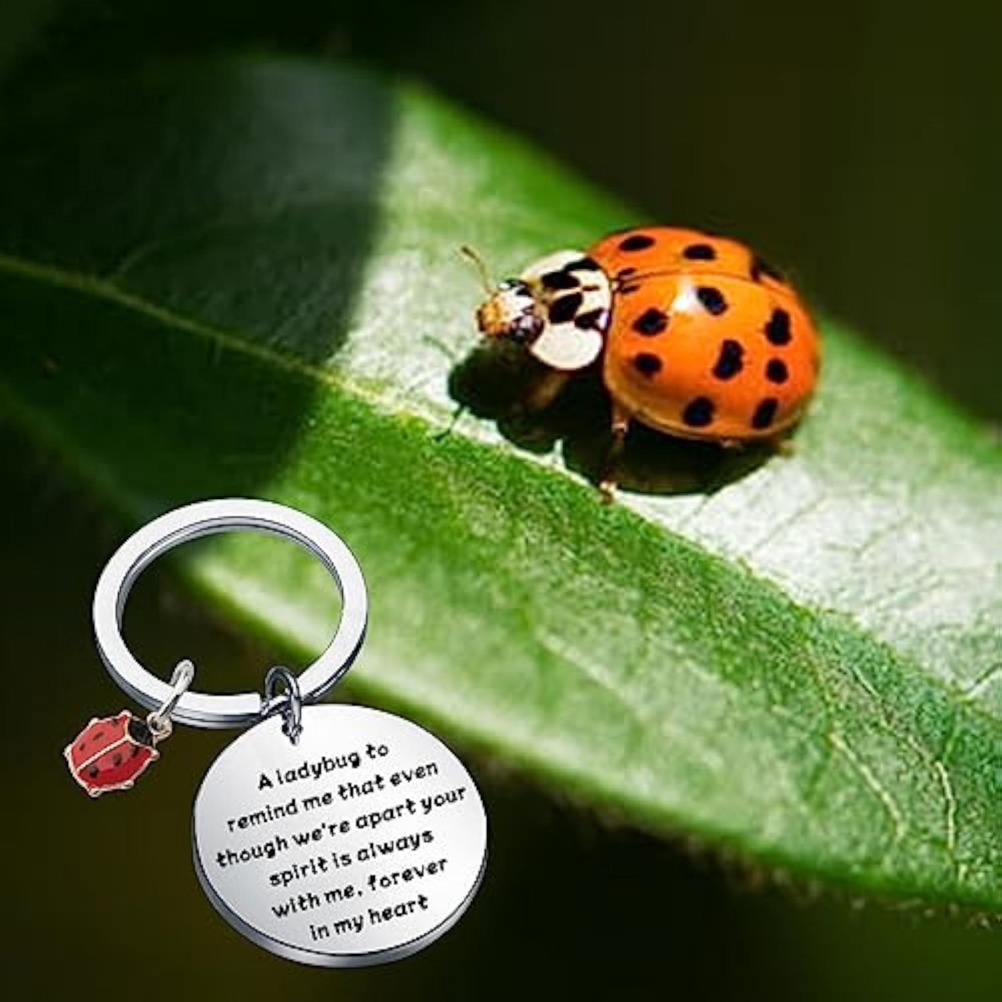 Ladybug Sympathy Gift, Memorial Remembrance Gift
