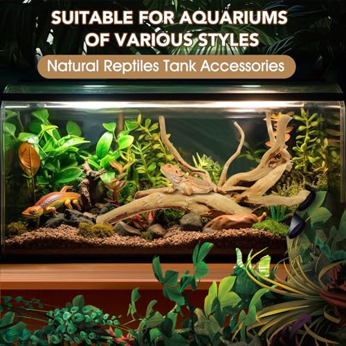Image of Jorewood Natural Large Spiderwood Driftwood for Aquarium Decor Rptile Fish Tank Decoration Assort Branch 11-14'' 2 Pcs