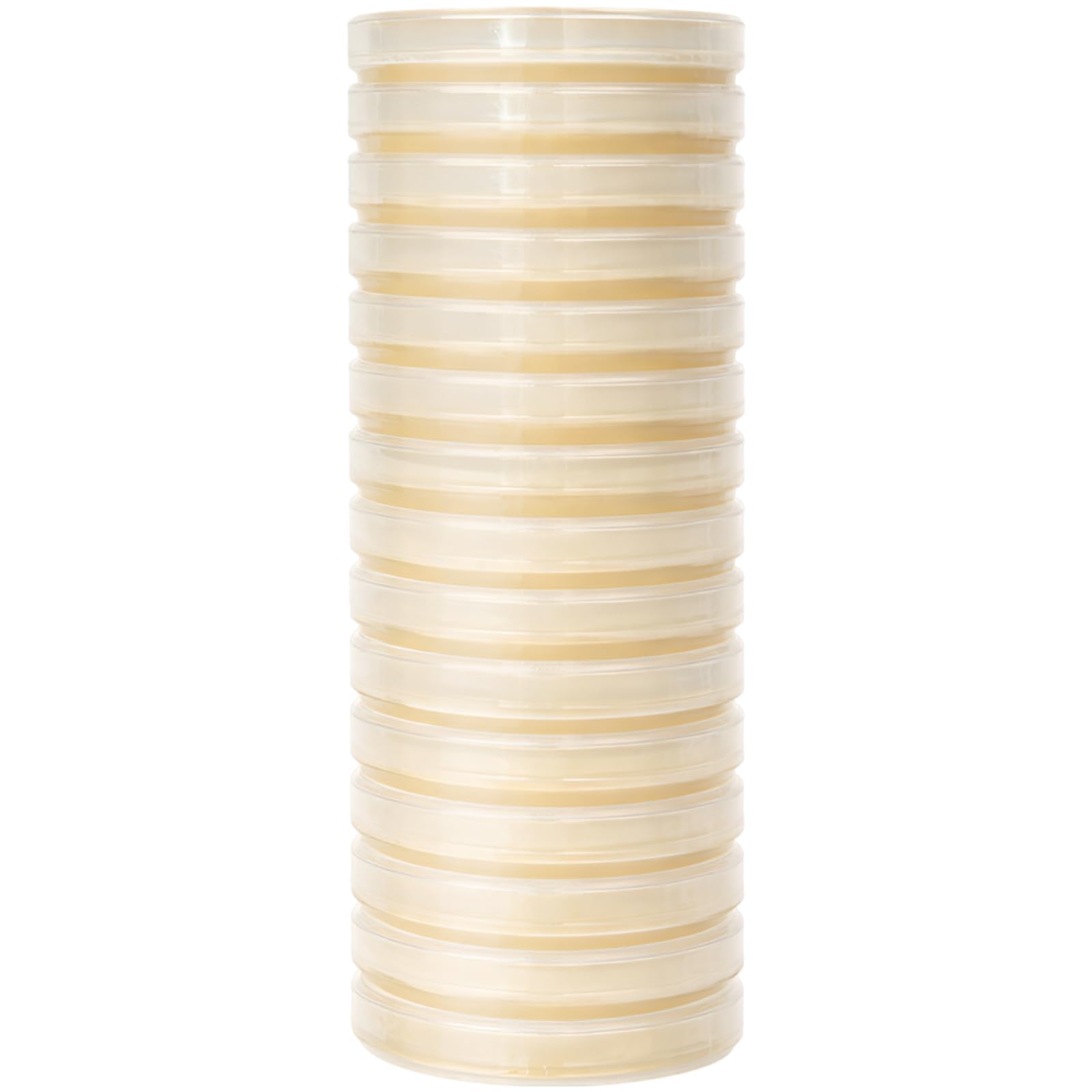 15 Stk. gelbe Nähragarplatten, vorgegossen, 3,5 in / 9 cm Petrischalen für Zellkultur, Luftmikroorganismen, Pilztest, Oberflächen, sofort einsatzbereit für Labor und Experimente