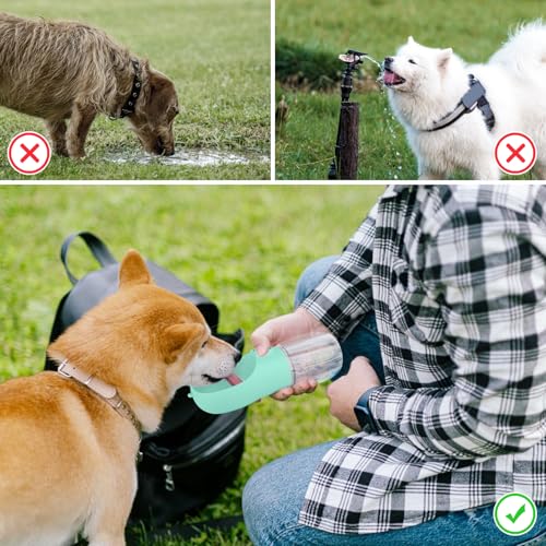 UTOCLEC Trinkflasche Hunde für Unterwegs, 350Ml Auslaufsicherer Trinknapf für SpaziergäNge mit dem Hund, Wandern und Outdoor-AktivitäTen (Grün)