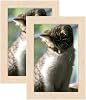 2PCS Wood Photo Frame 6x4 in Natural Colour - 10x15cm Versatile Frame with Plexiglass for Tabletop and Wall Mounting