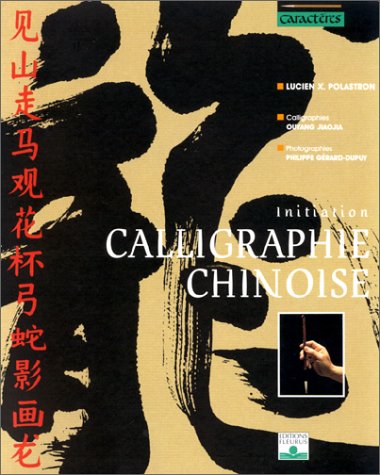 Télécharger Calligraphie chinoise : Initiation PDF