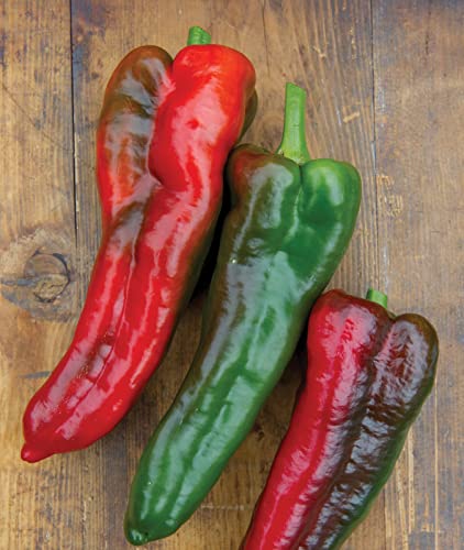 Burpee Thunderbolt Hybrid Sweet Italian Roasting Pepper Seeds | 20 Non-GMO Seeds | Vegetable Seeds for Planting | Grow Your Own Fresh Bell Pepper Live Plants - Image 5