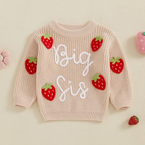 Toddler Girls Sweater Strawberry/Bow/Floral Letter Embroidery Crew Neck Long Sleeve Kids Pullovers Fall Tops2