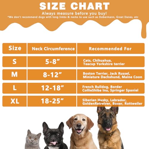 Image of Dog Cone Collar, Gray,M-1