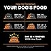 Go! Solutions Skin + Coat Care Salmon Dry Dog Food with Grains, Chicken-Free, Healthy Kibble with Omega-3s & 6s for Soft, Shiny Fur, for Puppies, Adults, & Seniors, 12 lb Bag