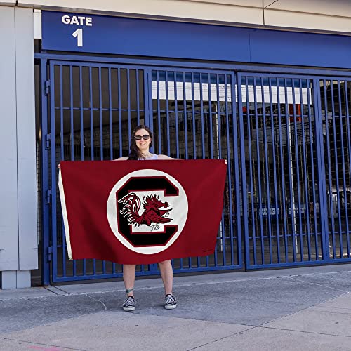 image for Rico Industries NCAA 3-Foot by 5-Foot Single Sided Banner Flag with Gr