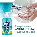 Germ-X Antibacterial Hand Soap, Moisturizing Liquid Hand Wash for Kitchen or Bathroom, pH Balanced & Dermatologist Tested, Spring Rain, 12 oz Pump Bottle (Pack of 4) - Image 5